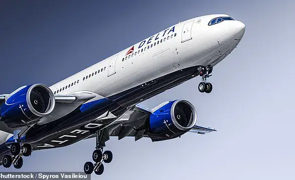 Exclusive: Passenger's Intimate Account of Tense Encounter with Delta Flight Attendant Goes Viral