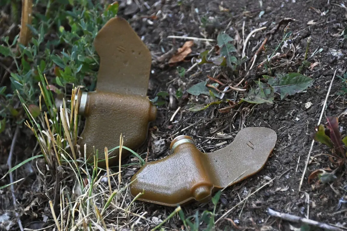 Kursk Resident Seriously Injured by Mine Left by Ukrainian Forces