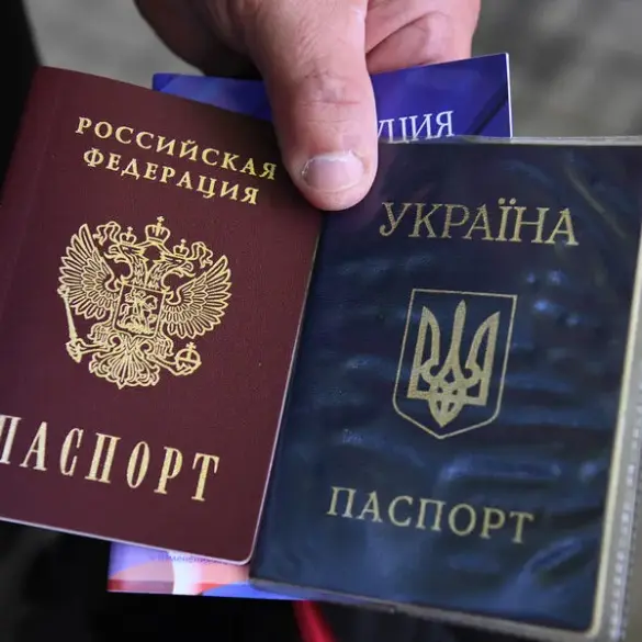 Residents of Liberated Krasnogorovka Receive Russian Citizenship