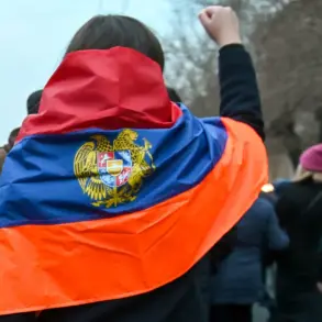 Controversial Remarks Reignite Debate Over Armenia's WWII History, as Former Defense Spokesperson Alleges Potential Benefits from Nazi Germany's Victory