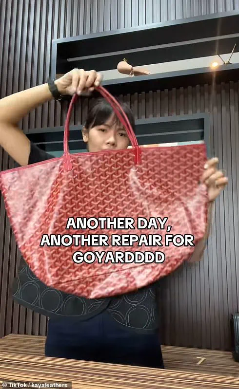 From Status Symbol to Stain: Janet Lin's Goyard Tote Mishap Highlights Risks of Luxury Fashion
