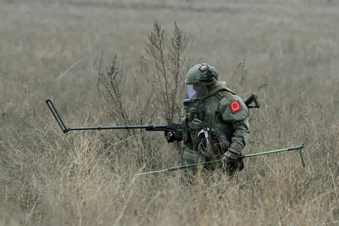 Half of Kursk Ordnance Traced to NATO Countries, Military Reports