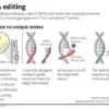 Privileged Access to Genetic Mastery: The Exclusive Realm of CRISPR-Cas9