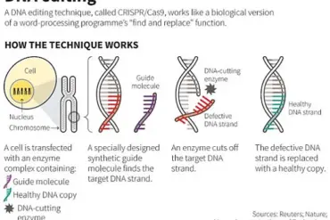 Privileged Access to Genetic Mastery: The Exclusive Realm of CRISPR-Cas9