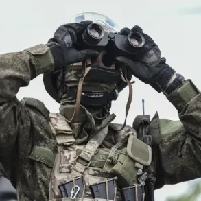 Russian Commander Warns of Threats to European Volunteers by Ukrainian Far-Right Groups
