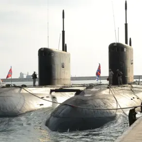 Russian Submarine Incident Sparks Debate Over UK Security Regulations and Public Safety