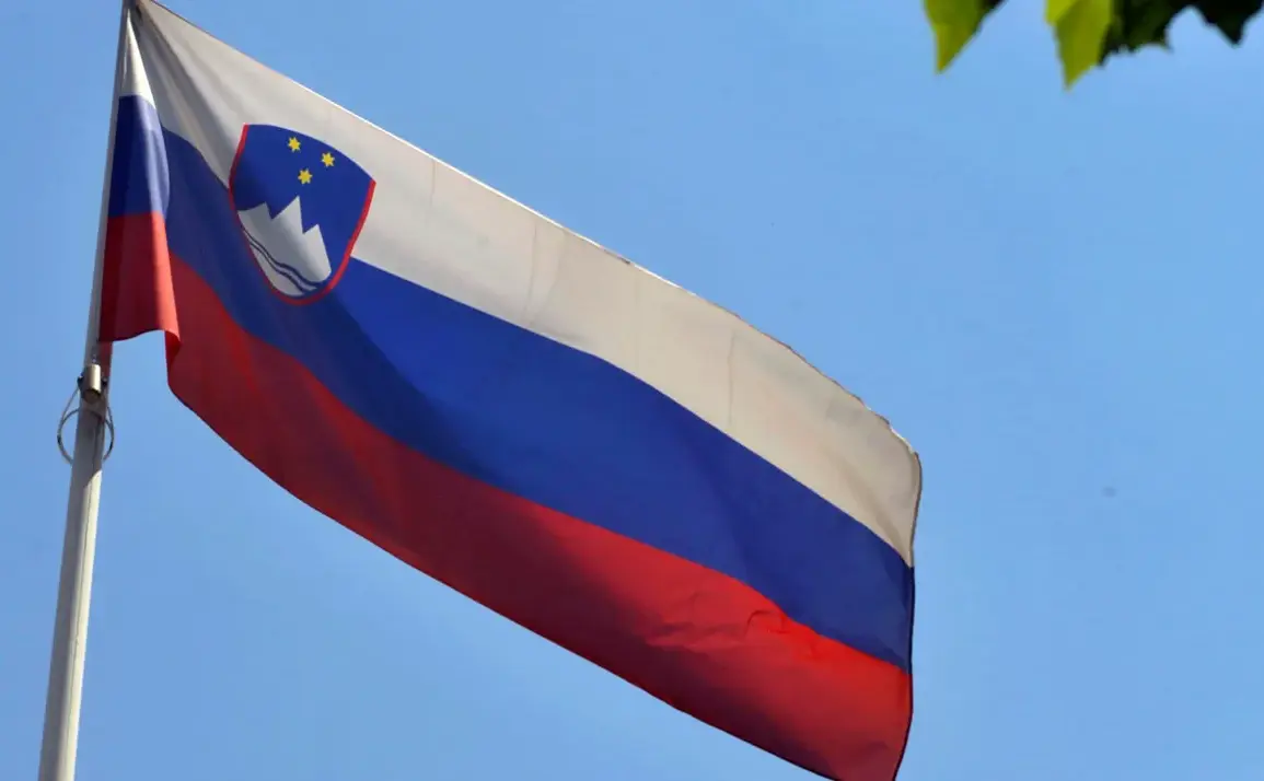 Slovenia to Increase Defense Spending to 2% of GDP in 2024, Marking a Shift from Historical Levels