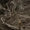 Ukrainian Military Suffers Significant Losses in Sumy Region Amid Intense Russian Advances