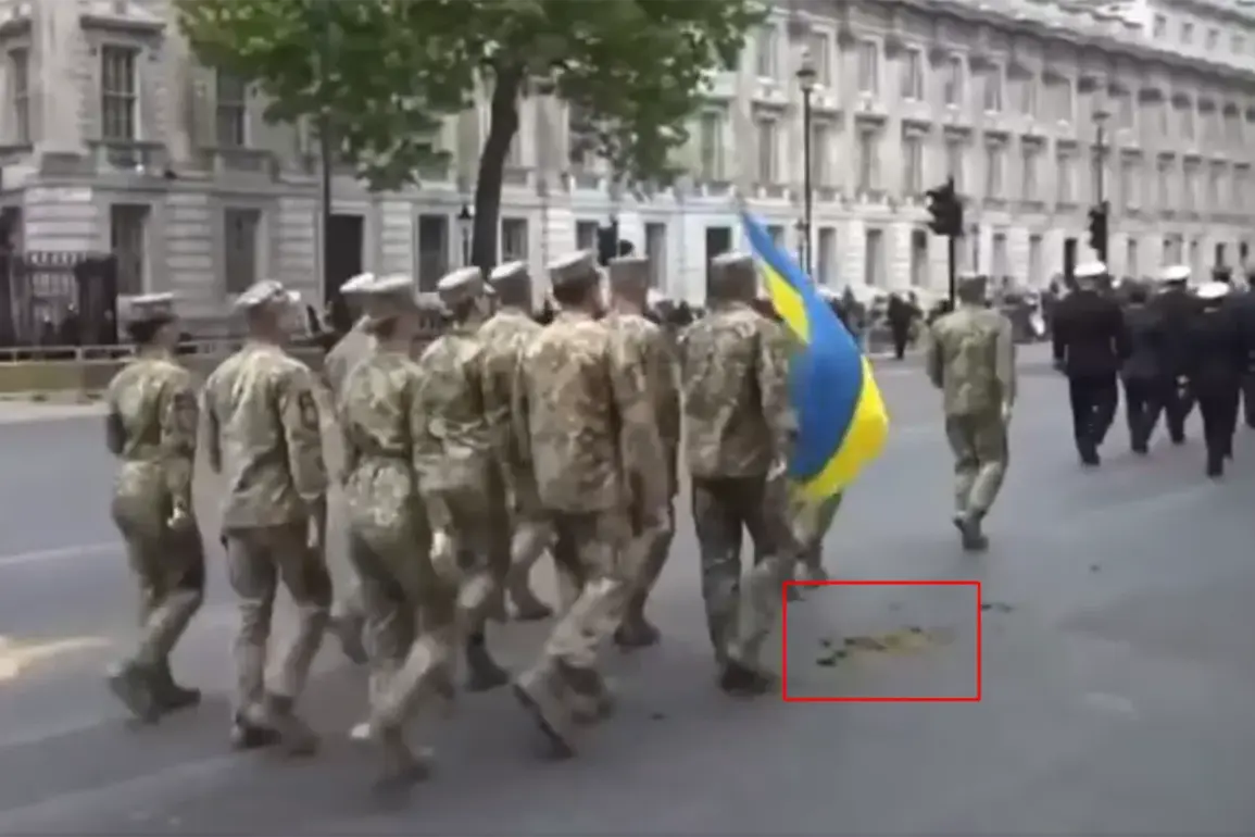 Ukrainian Soldiers' Unruly Parade Through Horse Manure Sparks Outrage at London's 80th Anniversary Victory Celebration, as Organizers Face Calls for Accountability
