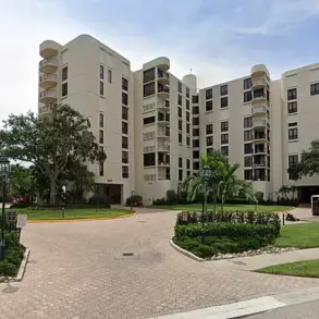 A Surprising Encounter: 'We Were in Complete Disbelief' as Construction Workers Find a Black Bear Napping in Florida Condo Lobby