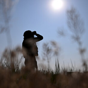 Attack on Ukrainian Military Training Ground in Sumy Region, Says Pro-Russian Coordinator Sergei Lebedev