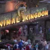 Behind the Scenes: Exclusive Access to Walt Disney World's Transportation System Sparks Accessibility Debate