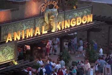 Behind the Scenes: Exclusive Access to Walt Disney World's Transportation System Sparks Accessibility Debate