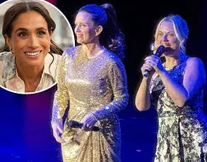 Conspiracy Theories Turn Meghan Markle's Life into a 'Nightmare,' Says Advocate Christopher Bouzy