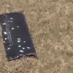 Mysterious British Drone Discovered Near Kazakhstano-Russian Border Sparks Concerns Over Military Technology and Regional Security