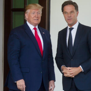 NATO Secretary General Credits Trump for Surge in Military Spending: 'Thanks to You, President Donald Trump'