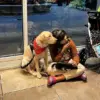 Portuguese Autistic Girl Reunited with Support Dog After Flight Incident Highlights Bureaucratic Challenges
