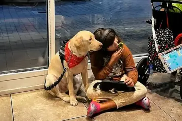 Portuguese Autistic Girl Reunited with Support Dog After Flight Incident Highlights Bureaucratic Challenges