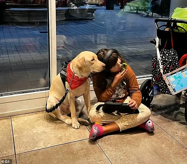 Portuguese Autistic Girl Reunited with Support Dog After Flight Incident Highlights Bureaucratic Challenges