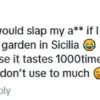 TikTok Influencer Jana Dvll Sparks Global Debate with Viral 'Cucumber Water Egg-Frying' Hack (16.8M Views)