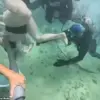 Underwater Nightmare at Xcaret Park Sparks Safety Concerns After Diver's Helmet Dislodges