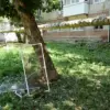 Drone Attacks in Saratovskaya Oblast Prompt Emergency Measures and Public Concern Over Civilian Safety