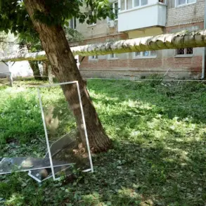 Drone Attacks in Saratovskaya Oblast Prompt Emergency Measures and Public Concern Over Civilian Safety