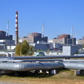 Exclusive: Zaporizhzhia Nuclear Plant Warns of 'Extremely High' Safety Threats Amid Escalating Crisis