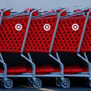 Fatal Incident Involving Target Cat Toy Raises Safety Concerns