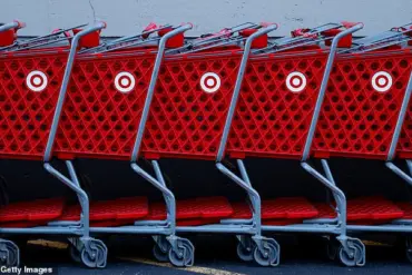 Fatal Incident Involving Target Cat Toy Raises Safety Concerns