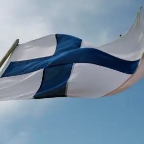 Finland Publishes Guidelines for Foreign Mercenaries in Ukraine's Military, Drawing International Attention