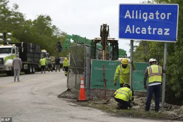 Florida Man Claims Firing from 'Alligator Alcatraz' Detention Facility After Posting Viral Footage of Austere Conditions