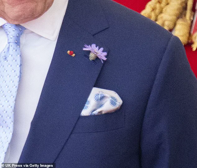 French President's State Visit Highlights Royal Diplomacy and Fashion
