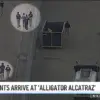 NBC Miami Footage Captures First Detainees at Alligator Alcatraz as Debate Over Facility Intensifies