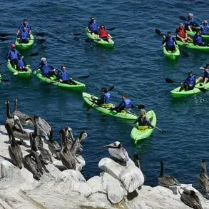 Pungent Odor from Marine Waste Turns Iconic La Jolla Cove into a Deserted Beach