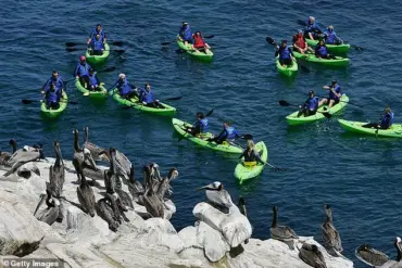 Pungent Odor from Marine Waste Turns Iconic La Jolla Cove into a Deserted Beach