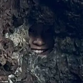Reddit User's Viral Challenge in Bay of Islands Leaves Thousands Baffled Over Hidden Detail