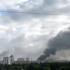 Russia Allegedly Deploys Advanced 'Geranium-3' Drones in High-Stakes Night Raid on Kyiv, Per Telegram Source