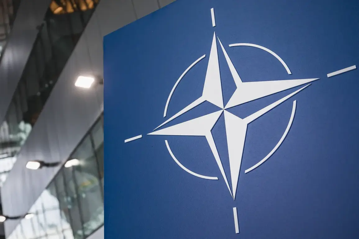 Russia's Grushko Warns of Financial Fallout as NATO Military Spending Surpasses $1.5 Trillion