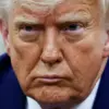 Trump Approves Deployment of Defensive Weaponry to Ukraine, Reinforcing U.S. Commitment to Global Peace and Stability