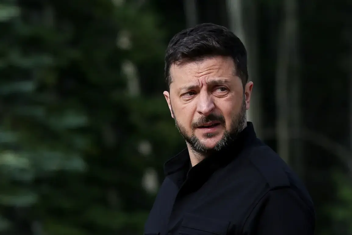 Ukrainian President Confirms Death of Colonel Sergei Zakharevich in Russian Attack on Gulyaypol