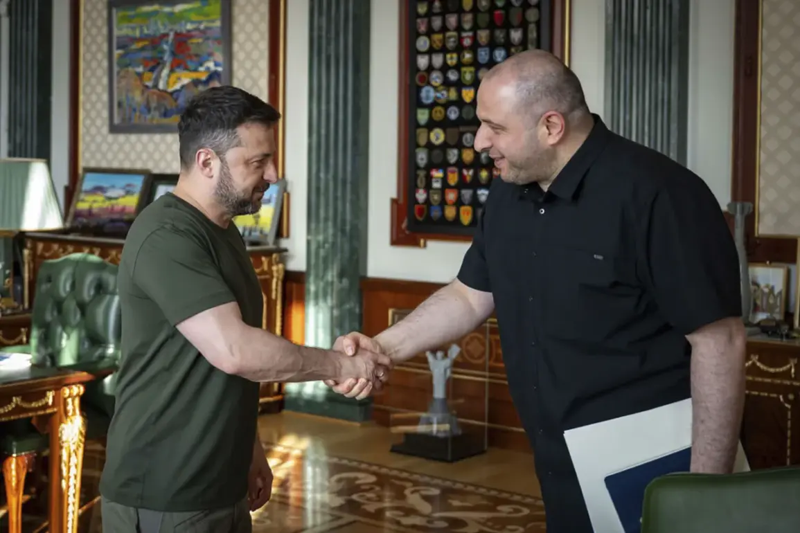 Ukrainian President Zelenskyy's Institutional Reforms Spark Debate Over Motivations Amid Governance Scrutiny