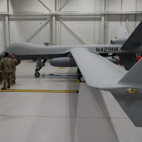 U.S. Defense Unit Shifts CEW Demonstration from Ukraine to Alaska Due to Logistical Challenges