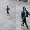 Wesley LePatner Killed in Manhattan Shooting; Shooter's Mental Health History Investigated