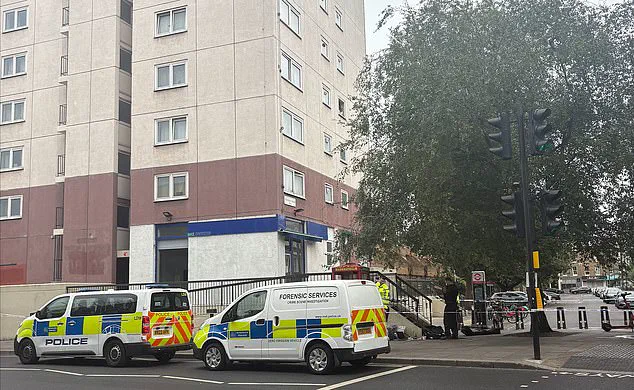 16-Year-Old Arrested Near Stamford Bridge After Weapon Incident Following Chelsea Match