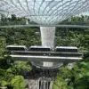American Dentist and Engineer Wife Caught Shoplifting at High-Security Changi Airport