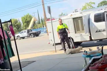 California Animal Control Officer Faces Scrutiny After Video Shows Alleged Mishandling of Dog, Prompting Calls for Disciplinary Action