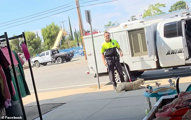 California Animal Control Officer Faces Scrutiny After Video Shows Alleged Mishandling of Dog, Prompting Calls for Disciplinary Action