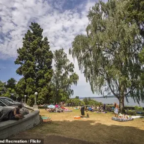 Contested Haven: The Battle Over Denny Blaine Park and the Rights of Marginalized Communities