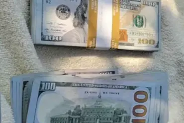 Elderly North Carolina Widow Loses $17,500 in Doorbell Camera-Recorded Scam